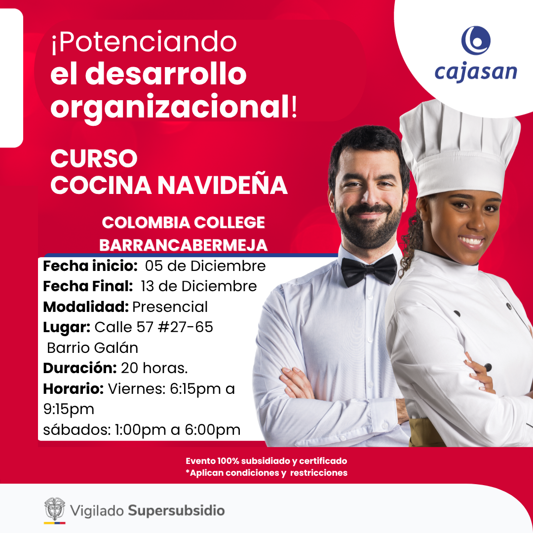 CURSO COCINA NAVIDEÑA